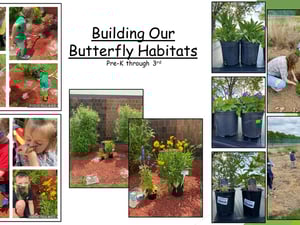 Butterfly Habitats